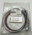 Balluff BCC0CUA 7/8" Male Straight 4-Pin Receptacle 600V AC/DC 2-Meters-1