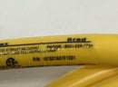 Brad Connectivity 1300061354 5-Pole Female 90° Single End Cable 12' 41308SS-90-3