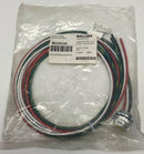 Balluff BCC0CUA 7/8" Male Straight 4-Pin Receptacle 600V AC/DC 2-Meters-2