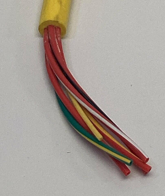 Mencom MAC-5FP-3 M12 5-Pole Single End Female Straight Cable 3-Meters