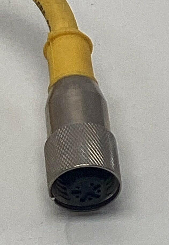 Turck KB 5T-2 / U2498 Female Straight 2M, 4A, 250V Cordset Cable