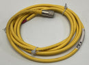 Turck KB 5T-2 / U2498 Female Straight 2M, 4A, 250V Cordset Cable-6