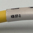 Turck KB 5T-2 / U2498 Female Straight 2M, 4A, 250V Cordset Cable-3