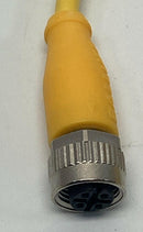 Balluff BCC05P8 M12, A-Coded 5-Pin, 4-Wire Male Angled x Female Straight 2-Meter-4