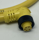 Brad Harrison 105001A01F030 5-Pole Female 90° Single End Cable 41306-90, 3 Feet-4