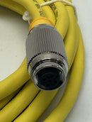 Turck RKG 4T-6/S600 / U5317-126 M12 Eurofast Straight Male / Female Connector, 6M-4
