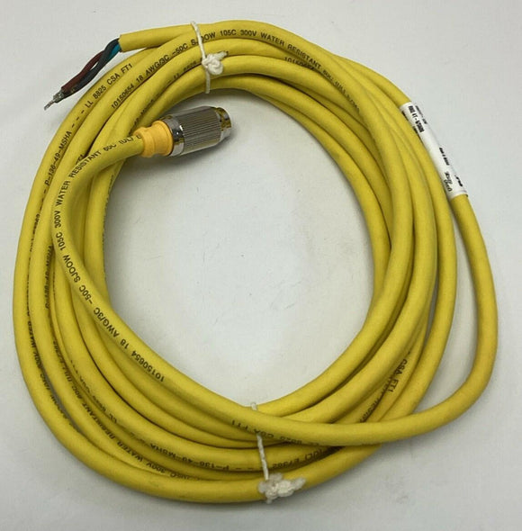 Turck RKG 4T-6/S600 / U5317-126 M12 Eurofast Straight Male / Female Connector, 6M