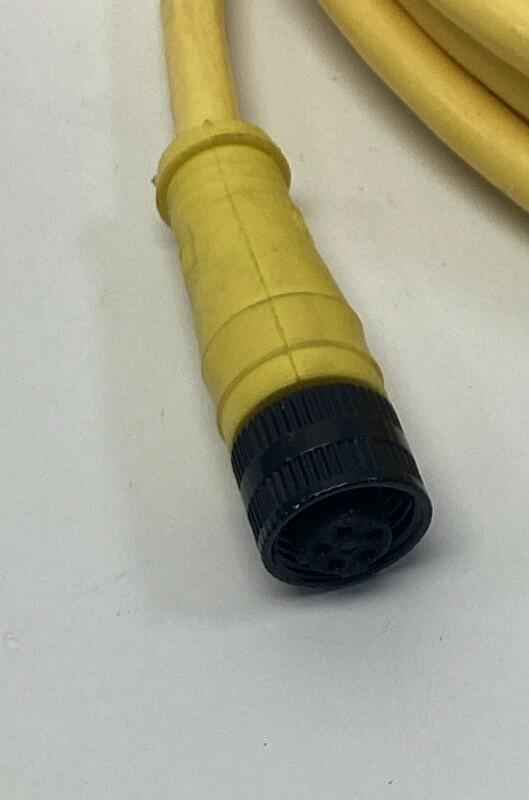 Brad Connectivity 1200720474 5-Pole, Female Single End Cable, 12"