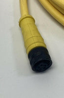 Brad Connectivity 1200720474 5-Pole, Female Single End Cable, 12"-3