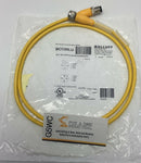 Balluff BCC05LU M12, A-Coded 5-Pin Female x Male Straight 4-Pin, 1-Meter-1