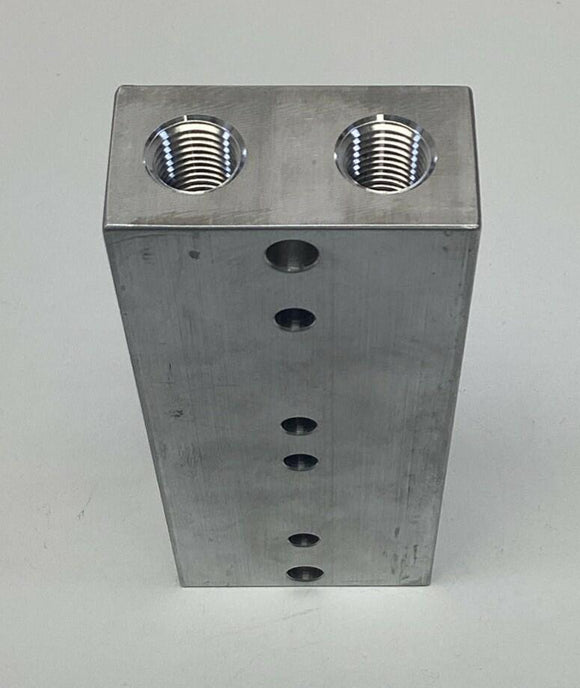 G.P. Reeves MDM1000-2 2-Station Manifold 1/4 NFTF Ports