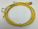 Lumberg RKT-4-633/2M Single End Female Cable M12 4-Pin, 4A, 250V 2-Meters-2