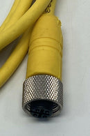 Lumberg RKT-4-633/2M Single End Female Cable M12 4-Pin, 4A, 250V 2-Meters-4