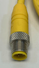 Lumberg RST4RKWT4-S798/2M Double Ended M12 4-Pole Male Straight to 90° Female-4