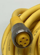 Turck RSM RKM 47/10M 4-Pole Male / Female Straight Minifast Cable, 10M U2-07843-5