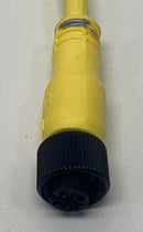Allen Bradley 889D-F4AC-5 M12 4-Pole Female Straight Single End Cable 4-Pin, 5M-4
