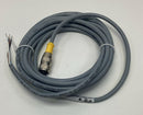 Turck RK 4.4T-4 / U2173 Female, Straight M12 4-Pin Sensor Cable, 4-Meter-6
