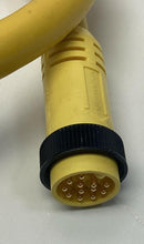 Brad Harrison 332020A01F030 12-Pole Male / Female Straight Cable, 10-Meters-5