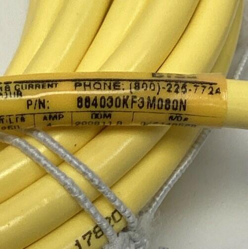 Brad Harrison 1200661744 4-Pole Male / Female Straight Cable, 8-Meters, M12