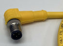 Turck RKC4.4T-2-WSC4.4T/S3060 4-Pin M12 Female to 90° Male Cable, 2M, U-30986-5
