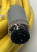 Brad Connectivity 1300611075 4P Male Straight Single End, 10M Molex-4