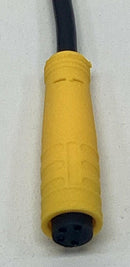 Banner 32438 / PKG-4-2 M* Female 4-Wire Single End Cable Cordset-4