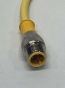 Banner M18RGX7PQPMA EZ-Light 18mm Barrel 2-Color Indicator 4-Pin, M12 74287-4