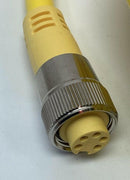 Automation Direct ZIPport ZP-S1-5FP-10M 5-Pin Female Single-End Cable, 10M-4