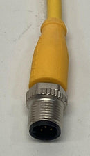 Balluff BCC M415-M415-3A-313-EX45T2-050 M12, 5-Pin Straight Female Cable, 5M-4