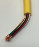 Brad Connectivity 1300061171 5-Pole Single End Female to Pigtail Cordset, 12FT-5