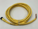 Brad Connectivity 1300061171 5-Pole Single End Female to Pigtail Cordset, 12FT-6