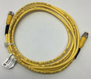 Lumberg Automation RST 4-RKT4-602/3M M12 4-Pin Male / Female Straight Cable 250V-2