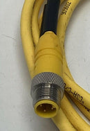 Lumberg Automation RST 4-RKT4-602/3M M12 4-Pin Male / Female Straight Cable 250V-4