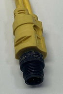 Brad Harrison 884A30K05M003 4PY Splitter M/F STR M12 0.3M Cable-5