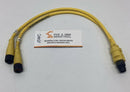 Brad Harrison 884A30K05M003 4PY Splitter M/F STR M12 0.3M Cable-1