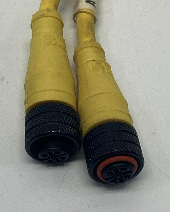 Brad Harrison 884A30K05M003 4PY Splitter M/F STR M12 0.3M Cable