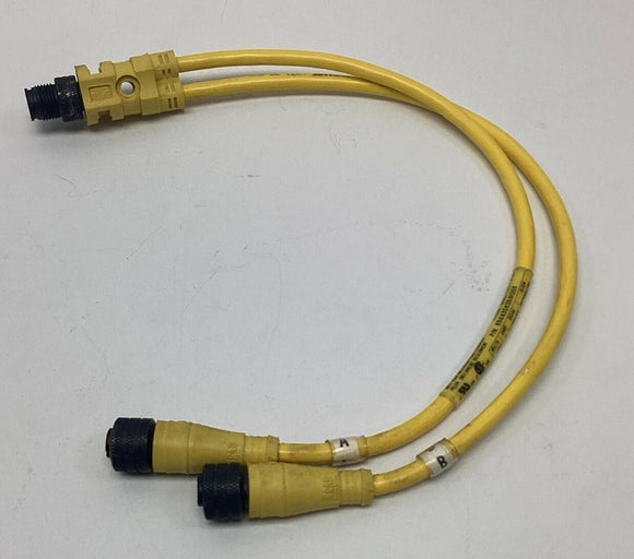Brad Harrison 884A30K05M003 4PY Splitter M/F STR M12 0.3M Cable