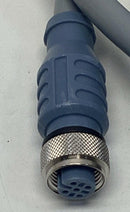 Datalogic CBL-1494-02 M12, 5-Pole Shielded Single End Cable 2-Meters-4