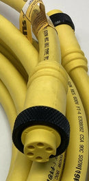 TPC Wire & Cable CL25E07F020 Super-Trex Mini 16/5 Male/ Female 20Ft-4