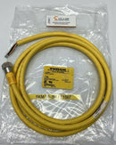 Turck RKM 56-3M/S1587 5-Pin Female Straight Actuator Cordset Cable 3M-1