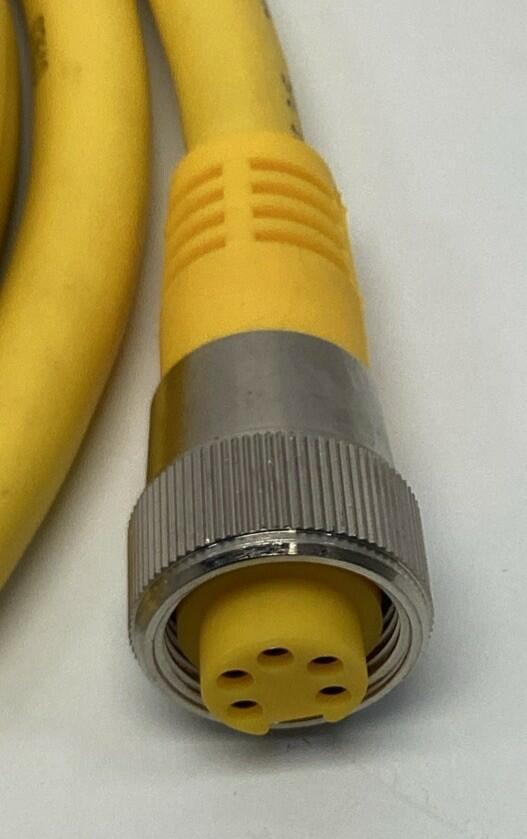 Turck RKM 56-3M/S1587 5-Pin Female Straight Actuator Cordset Cable 3M