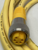 Turck RYM RKM 56-4M/S3090 MiniFast Cordset U2-18872, 5-Wire 4 Meters-5