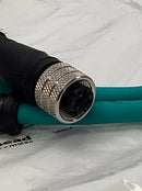 Brad Woodhead 1203410812 / E12A03004M010 M12, 4P XC to DC M/MFE Cable-6