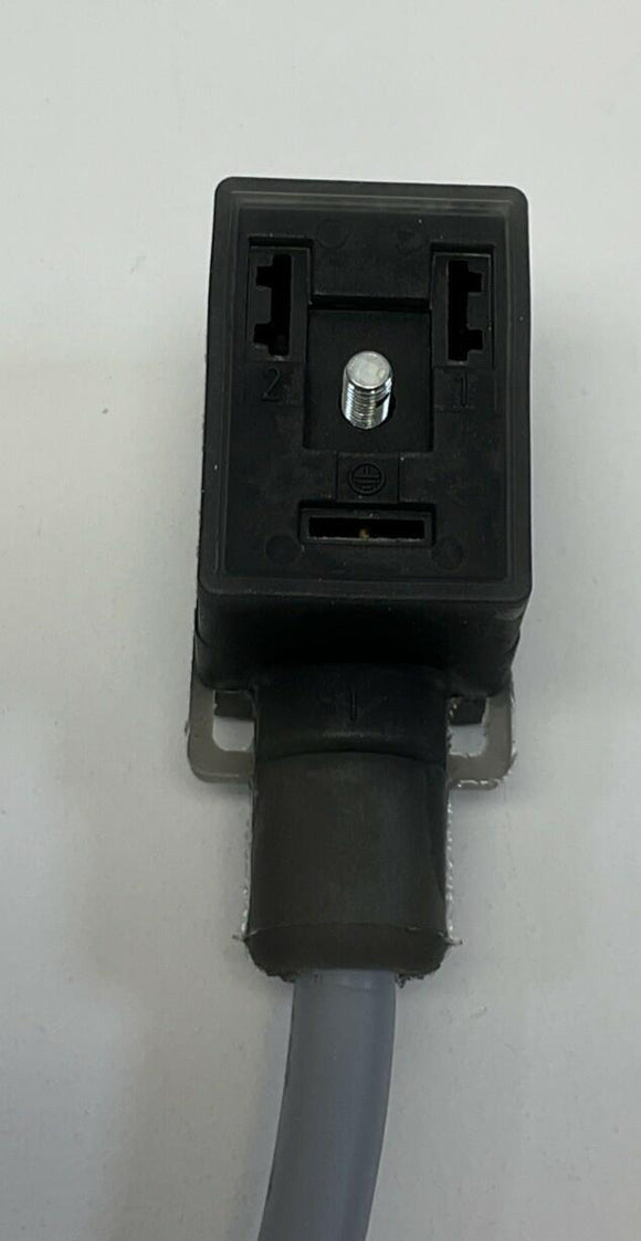 Turck TIS 2-A653-1M / U-72146 Single End Valve Plug, 1-Meter