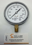 Ametek USG 167443 3-1/2" 80/250 PSI Gauge, 1/4" NPT Lower-1
