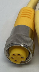 Turck RYM RKM 56-4M/S3090 Minifast Cordset 5-Wire, 4-Meters U2-18872-5