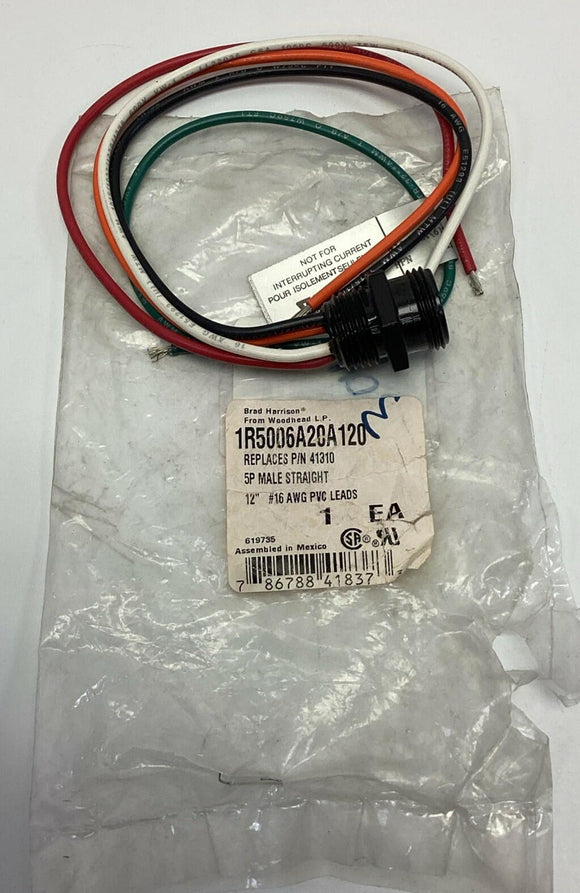 Brad Connectivity 1R5006A20A120 5-Pin Male Straight 12"