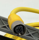 Turck KBE-3T-6-SBE-3T/S1587 3-Pole Male / Female Microfast M12 Cable 6-Meters-3
