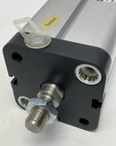 Parker P1PS050DS8G0076 Pneumatic Cylinder 50mm Bore, 76mm Stroke, BSP Ports-4