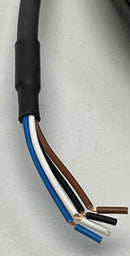 Lumberg RKMV-4-225/5M Female Single End Cable, M8, 4-Pole 5-Meter-4